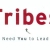 Tribes by Seth Godin