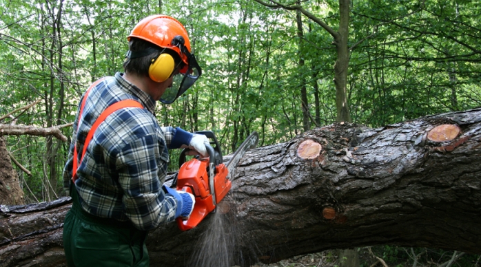 Forester Chainsaw Protection